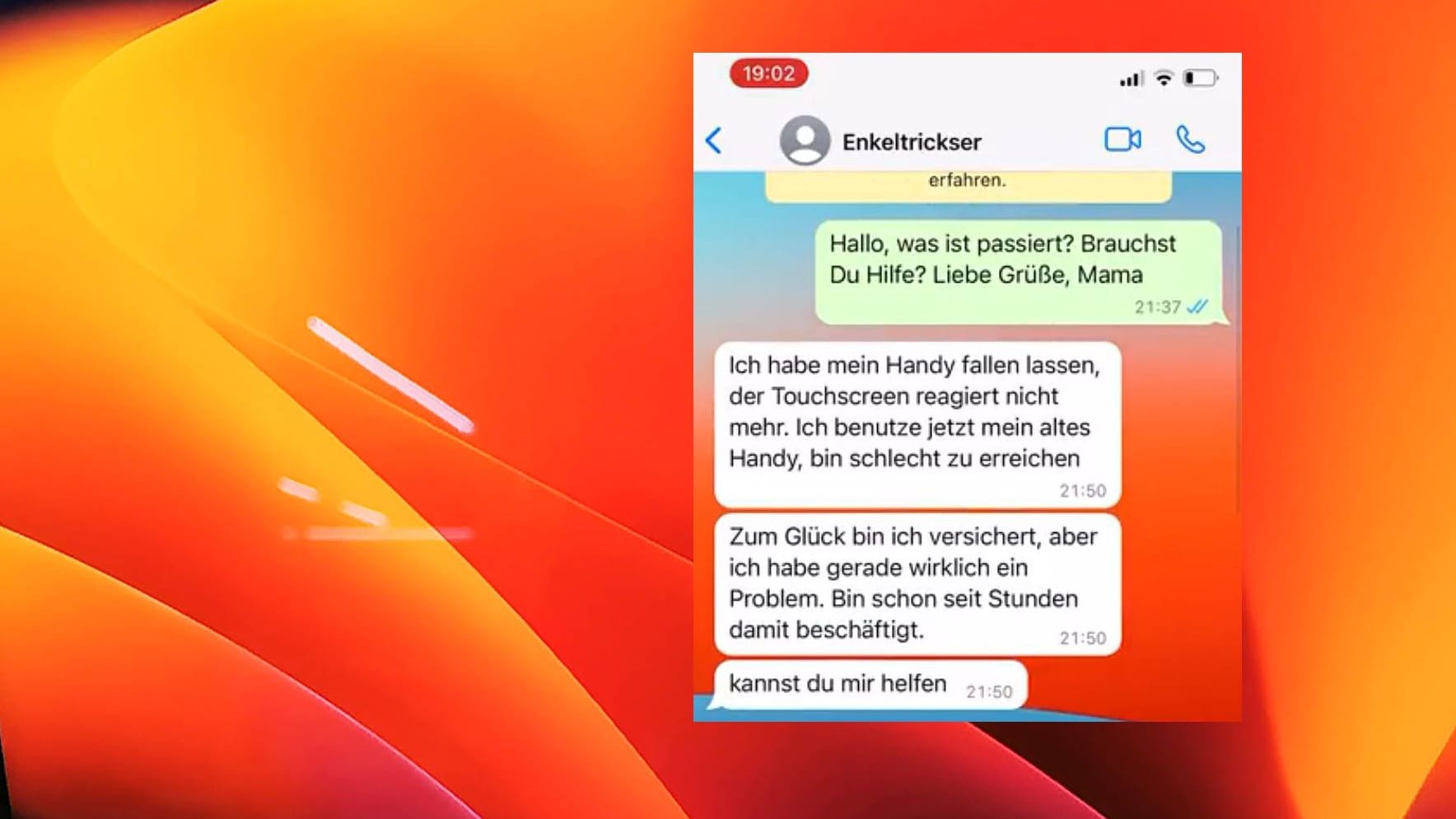 Chat mit einem Betrüger: Nicole Diekmann hat einfach mal auf eine Spam-Nachricht geantwortet.