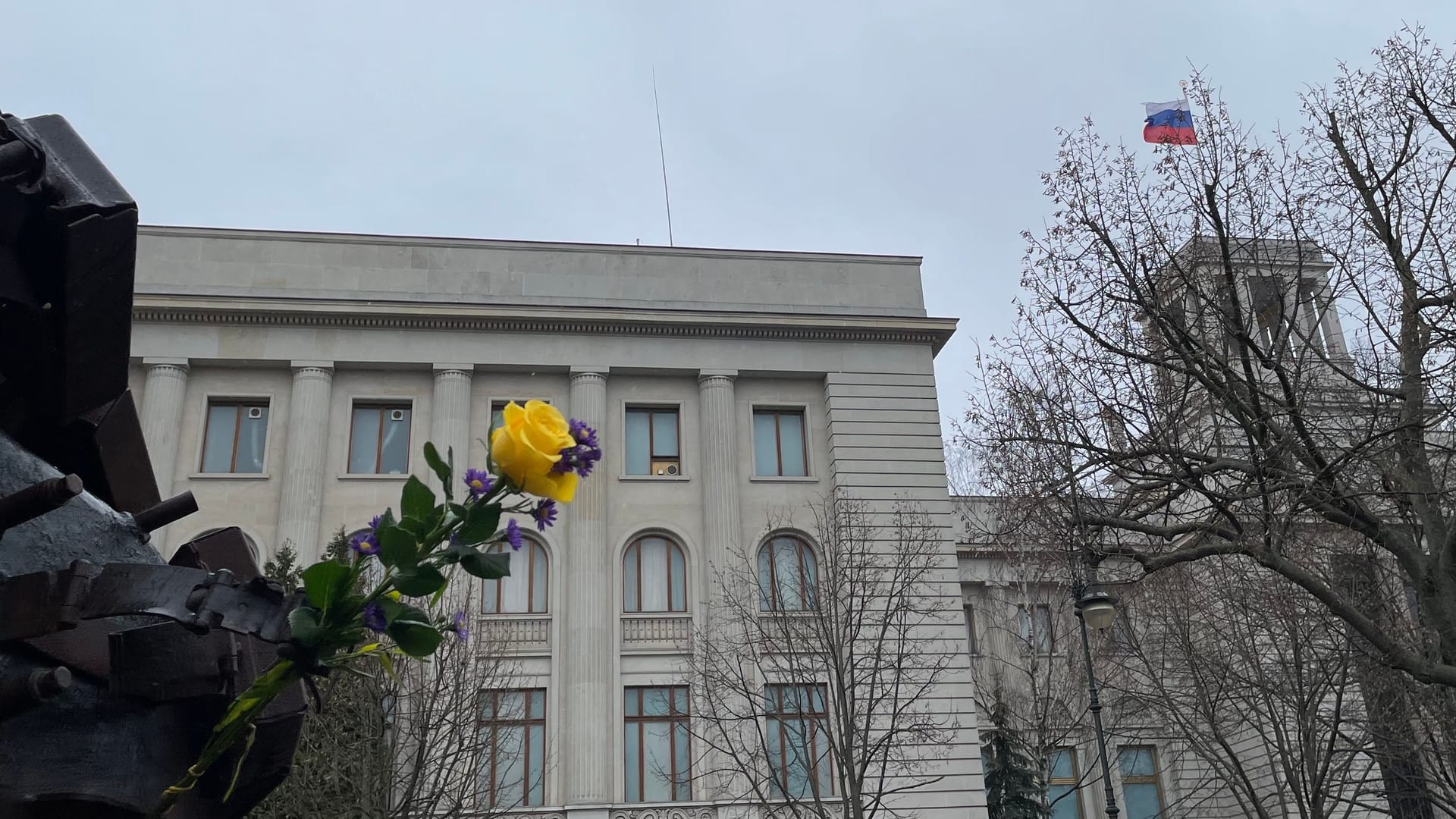 Die Nationalfarben der Ukraine: Eine gelbe Blume mit lila-blauem Schmuck hängt an dem demolierten russischen Panzer.