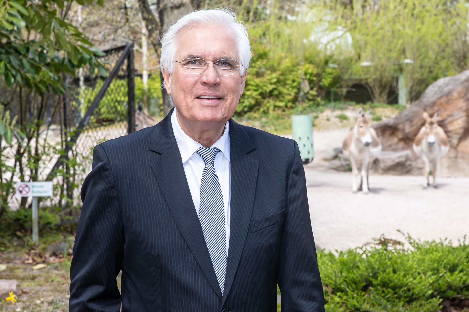 Dirk Albrecht, Geschäftsführer in Hagenbecks Tierpark: Er zieht Konsequenzen aus Anzeigen des Betriebsrats.