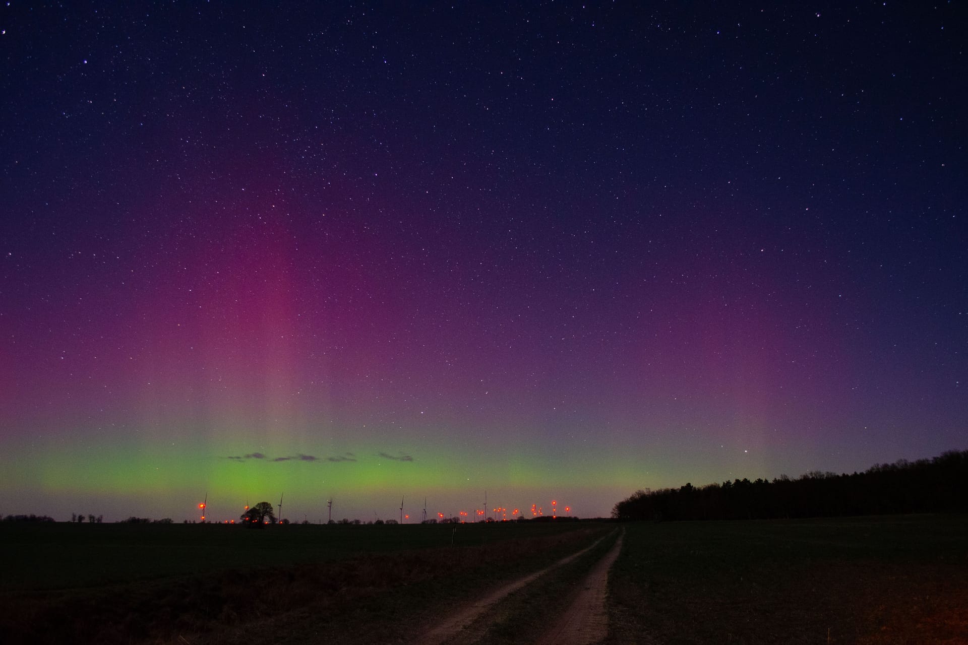 Polarlichter leuchten in der Nacht auf Dienstag über dem Stadtrand von Havelberg in Sachsen-Anhalt.