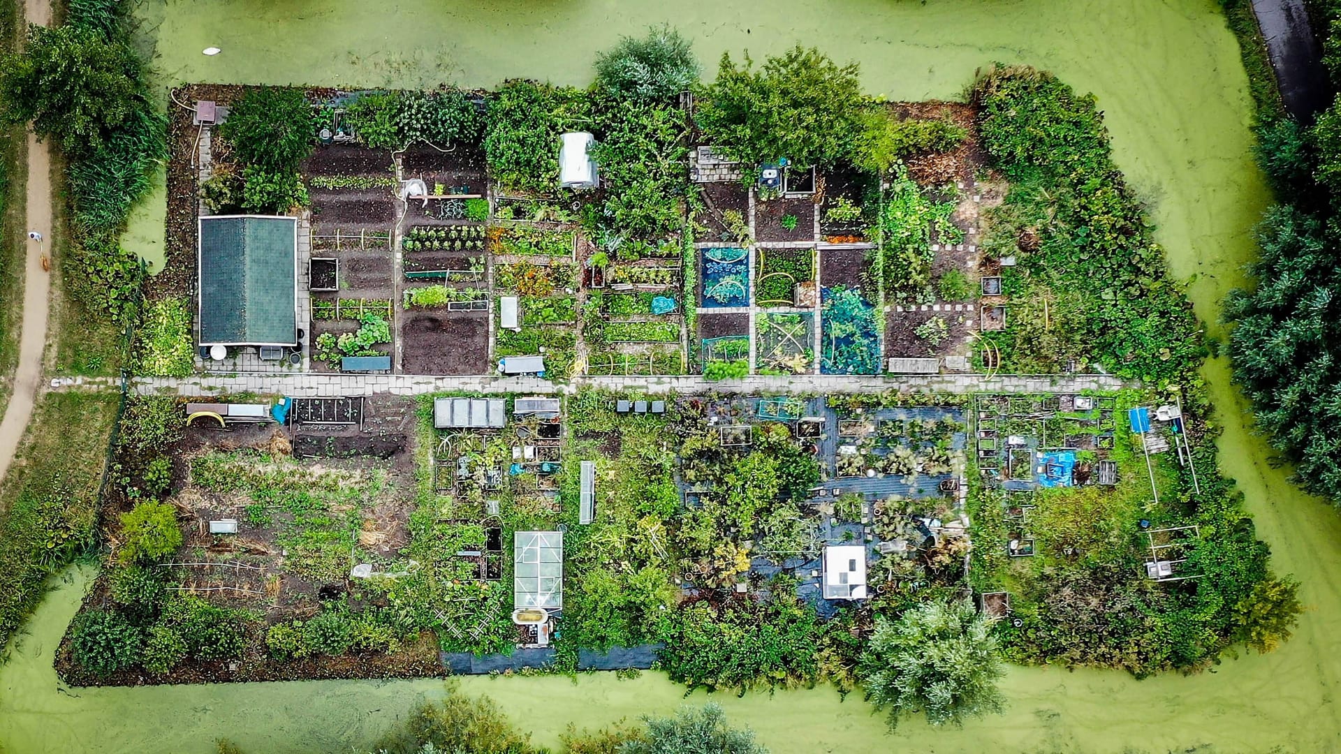 Ein Gemüsegarten in der Nähe von Dordrecht, Niederlande: Die PFAS-Fabrik von Chemours ist rund einen Kilometer von hier entfernt; Gewässer, Böden und Atemluft sind im ganzen Umkreis verseucht.