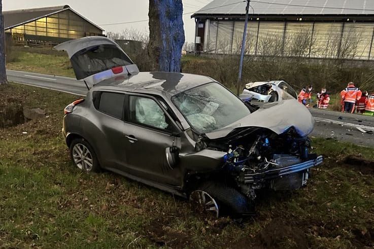 Bei dem Verkehrsunfall in Ohrensen wurden fünf Menschen verletzt.