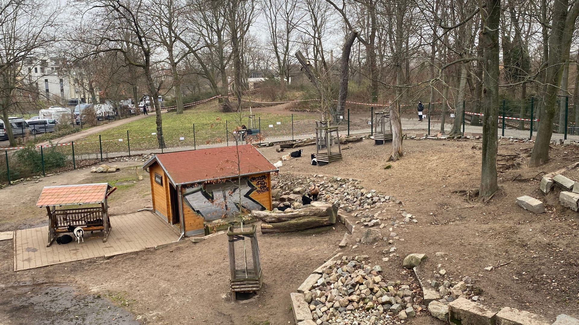 Der Fundort im Bürgerpark Pankow liegt unweit eines Ziegengeheges.