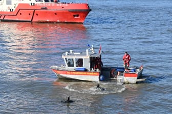 Taucher der Feuerwehr Hamburg suchen in der Elbe nach einem Kind: Der Junge soll von einem Fähranleger ins Wasser gekommen sein.
