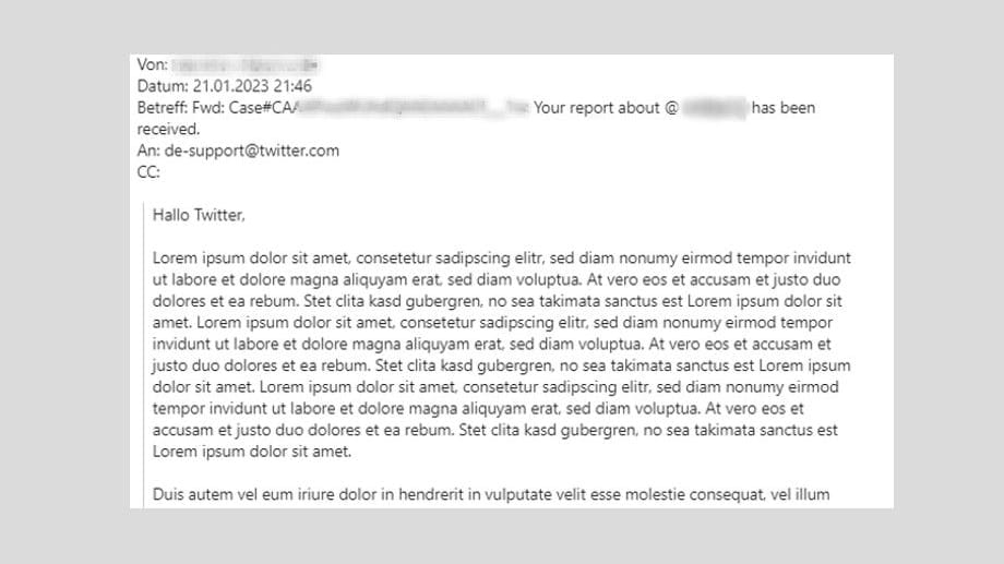 "Lore Ipsum...": Diesen Text schickte der Nutzer als Beschwerde an Twitter und hatte damit Erfolg. Der Mailwechsel ohne Unkenntlichmachung liegt t-online vor.