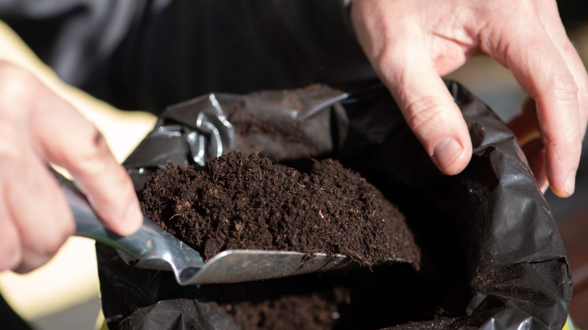 Frisch gekaufte Blumenerde stinkt? Das sollten Sie jetzt tun