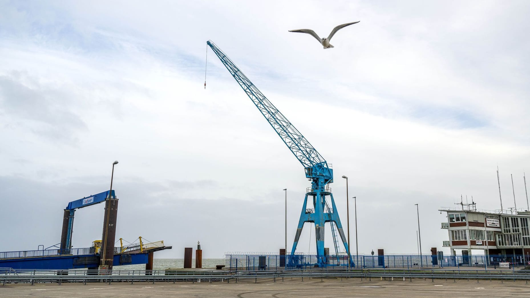Der denkmalgeschützte Kran auf dem Steubenhöft Pier ist nach Angaben des Hafenbetreibers NPorts nicht länger sicher. Der denkmalgeschützte Kran auf dem Steubenhöft Pier ist nach Angaben des Hafenbetreibers NPorts nicht länger sicher.