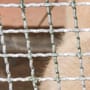 Tierschutz in Dortmund: Junger Kangal sucht nach Misshandlung neues Zuhause