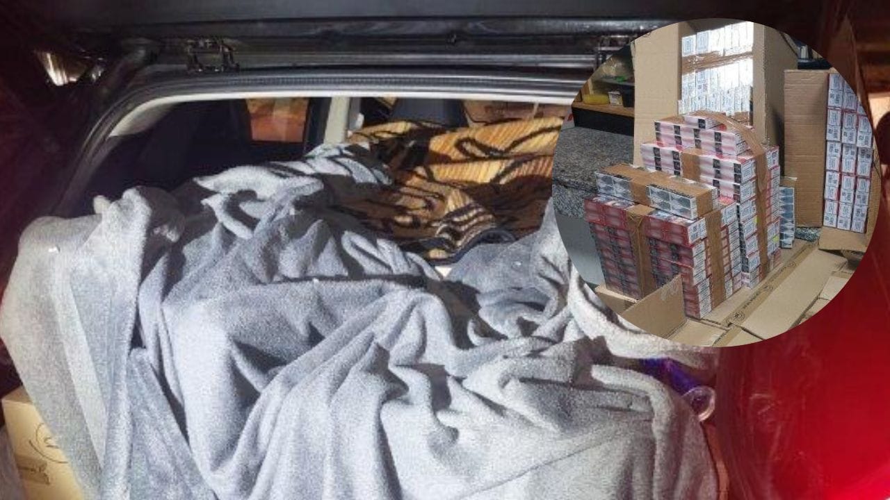 Der Autofahrer war der Polizei sofort aufgefallen, da Decken auf der Rückbank mehrere Kartons verdecken. Der Autofahrer war der Polizei sofort aufgefallen, da Decken auf der Rückbank mehrere Kartons verdecken.