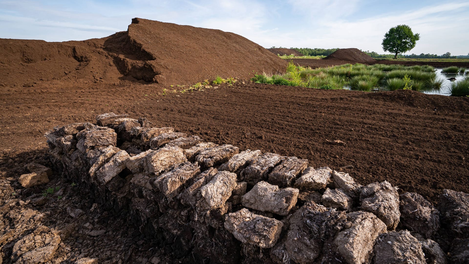 Torfstich im niedersächsischen Campemoor: Natürliche Moore haben ein enormes Speicherpotenzial für CO2. Doch viele sind für Torfabbau und Landwirtschaft weiterhin trockengelegt.