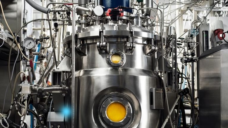 Ähnelt dem Fermentationsprozess: Proteinpulver Solein wird in einem Bioreaktor hergestellt.