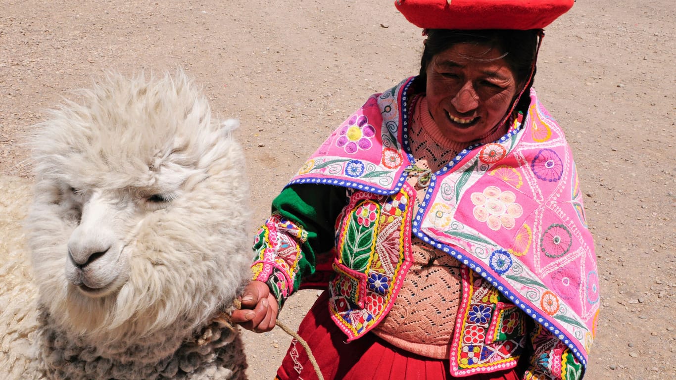 Insbesondere in Peru, Bolivien und Chile sind Alpakas zu Hause. Dort leben Schätzungen zufolge vier Millionen der Tiere.
