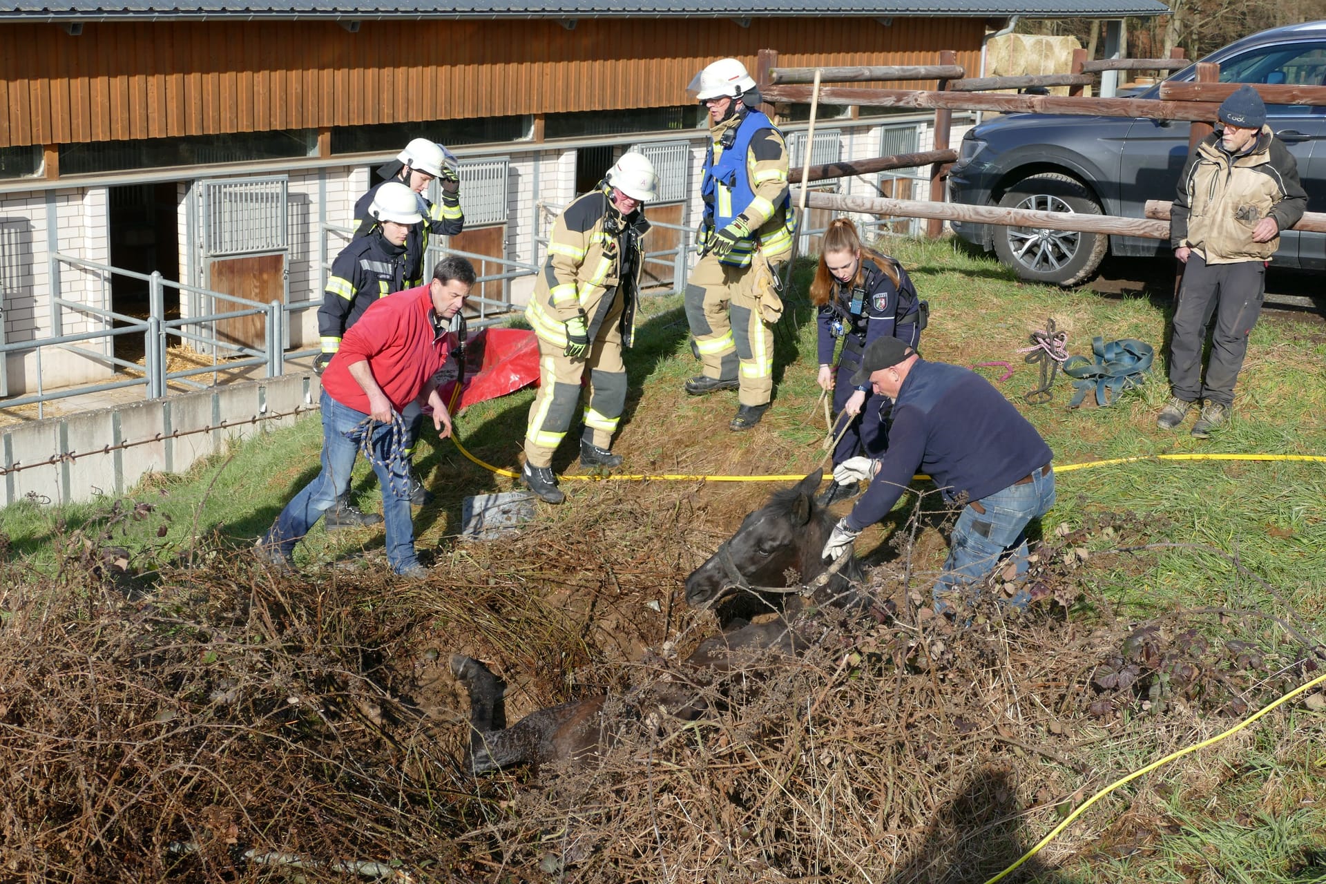 Feuerwehrleute retten das Pferd aus der Grube: Das Tier blieb unverletzt.