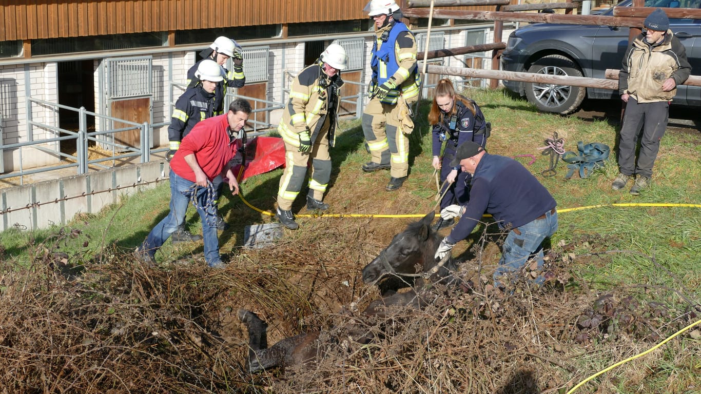 Feuerwehrleute retten das Pferd aus der Grube: Das Tier blieb unverletzt.