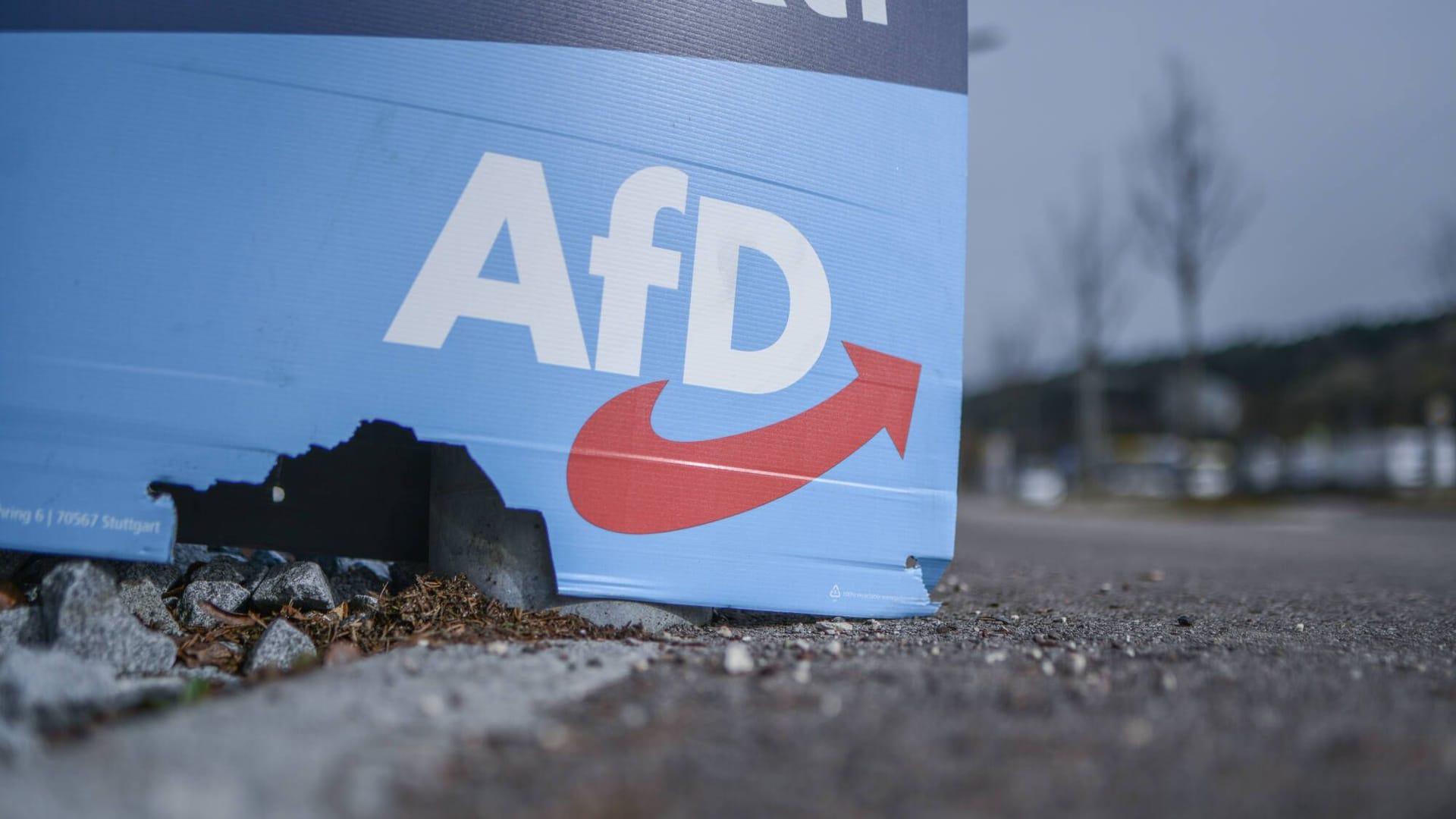 Ein Wahlplakat der AfD (Symbolfoto): Die zerstrittene Partei hatte Beschwerden wegen der drohenden Nicht-Zulassung eingelegt. Ein Wahlplakat der AfD (Symbolfoto): Die zerstrittene Partei hatte Beschwerden wegen der drohenden Nicht-Zulassung eingelegt.