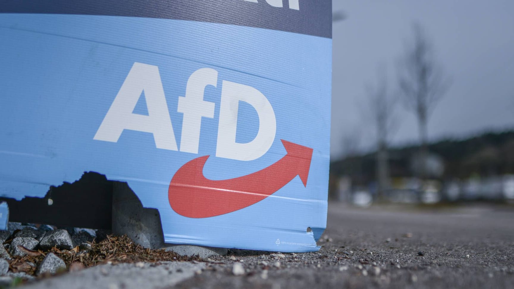 Ein Wahlplakat der AfD (Symbolfoto): Die zerstrittene Partei hatte Beschwerden wegen der drohenden Nicht-Zulassung eingelegt.