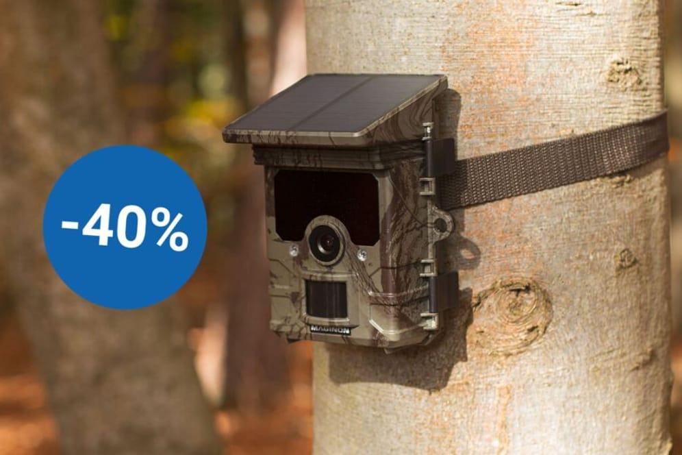 Im Aldi-Onlineshop ist eine Wildkamera mit Nachtsicht, Bewegungsmelder und Solarpanel im Angebot.