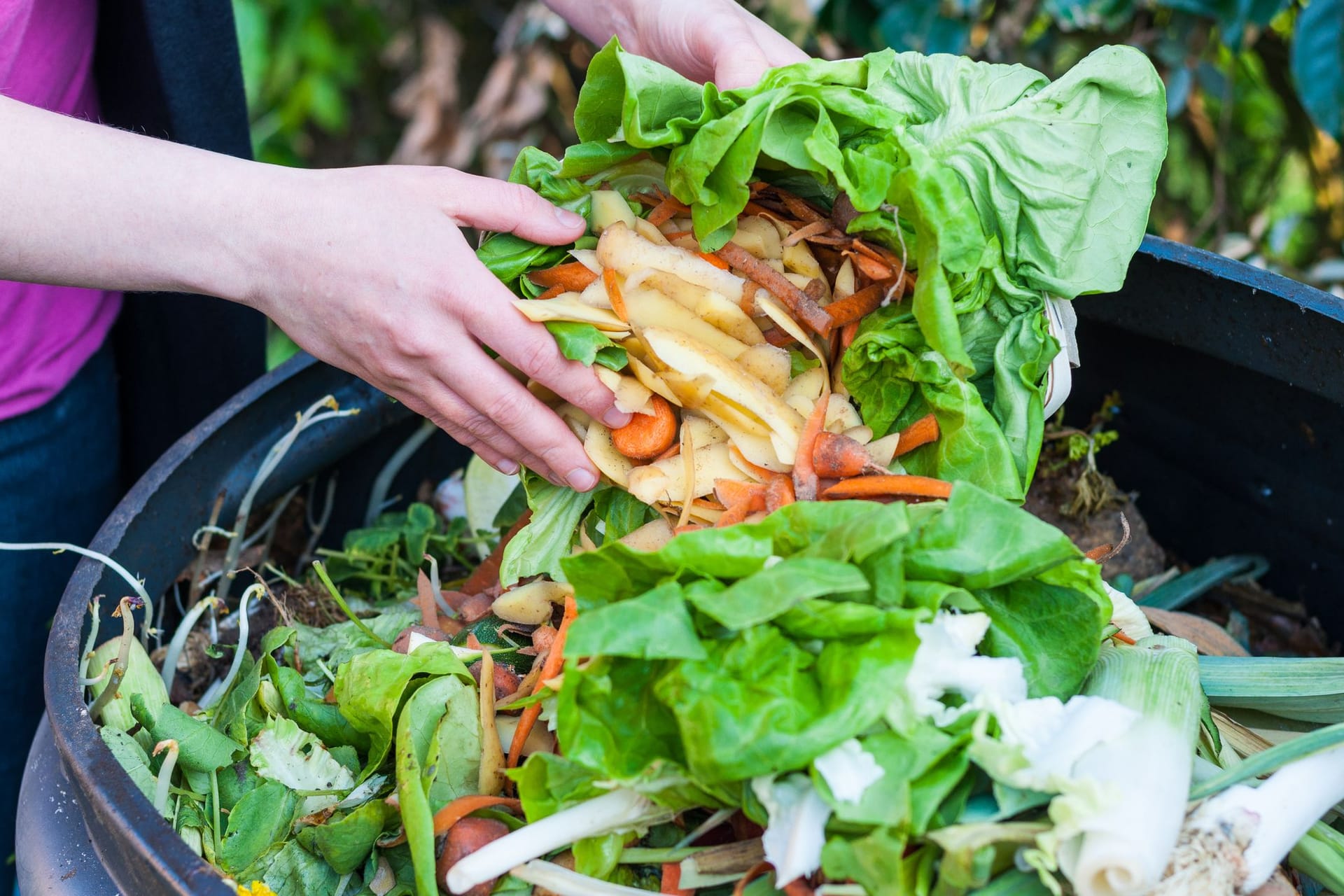 Kompost beschleunigen: Mit der richtigen Mischung aus Garten- und Küchenabfällen können Sie dazu beitragen, dass Ihr Kompost schneller verrottet.