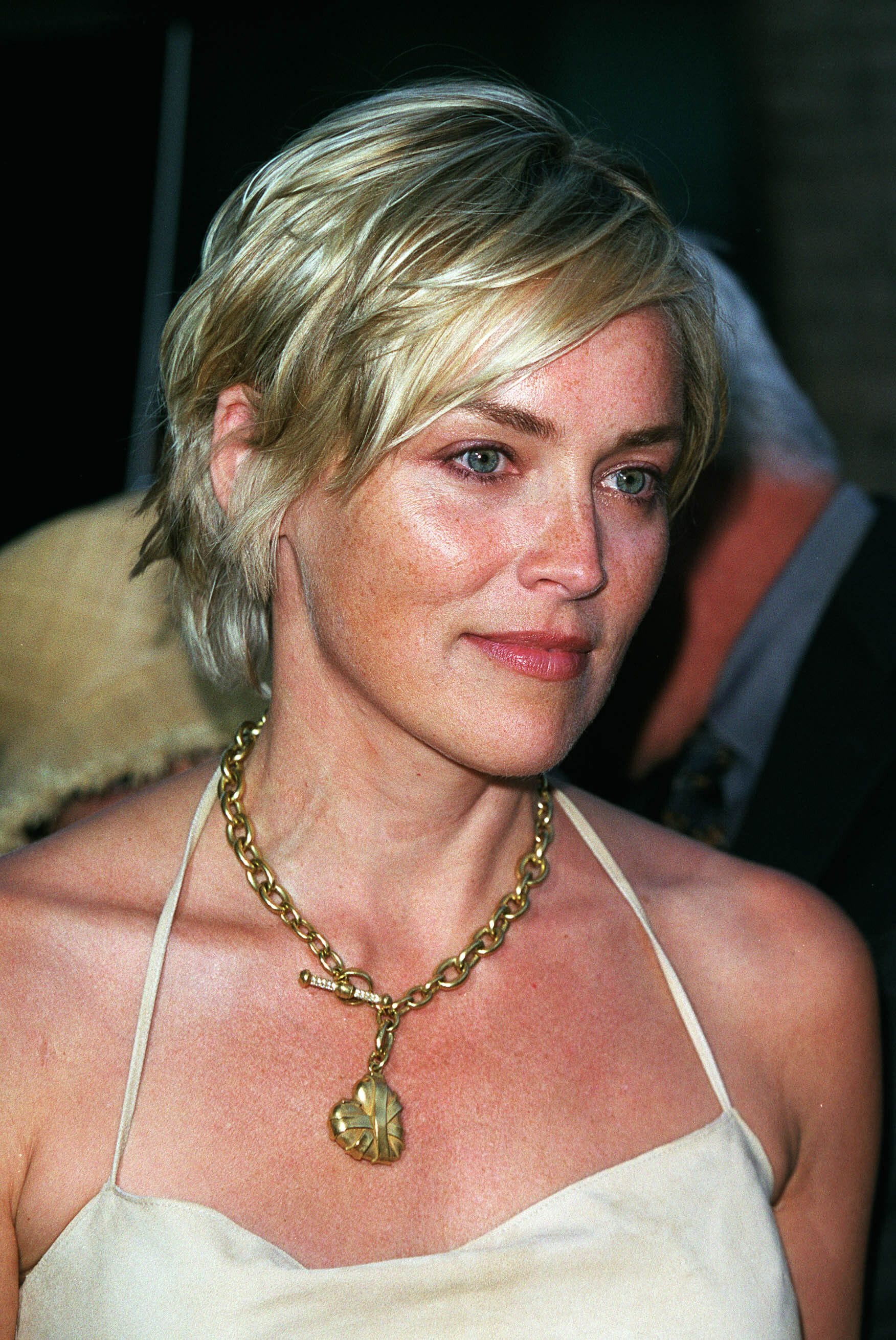 2001: Ein hartes Jahr für Sharon Stone.