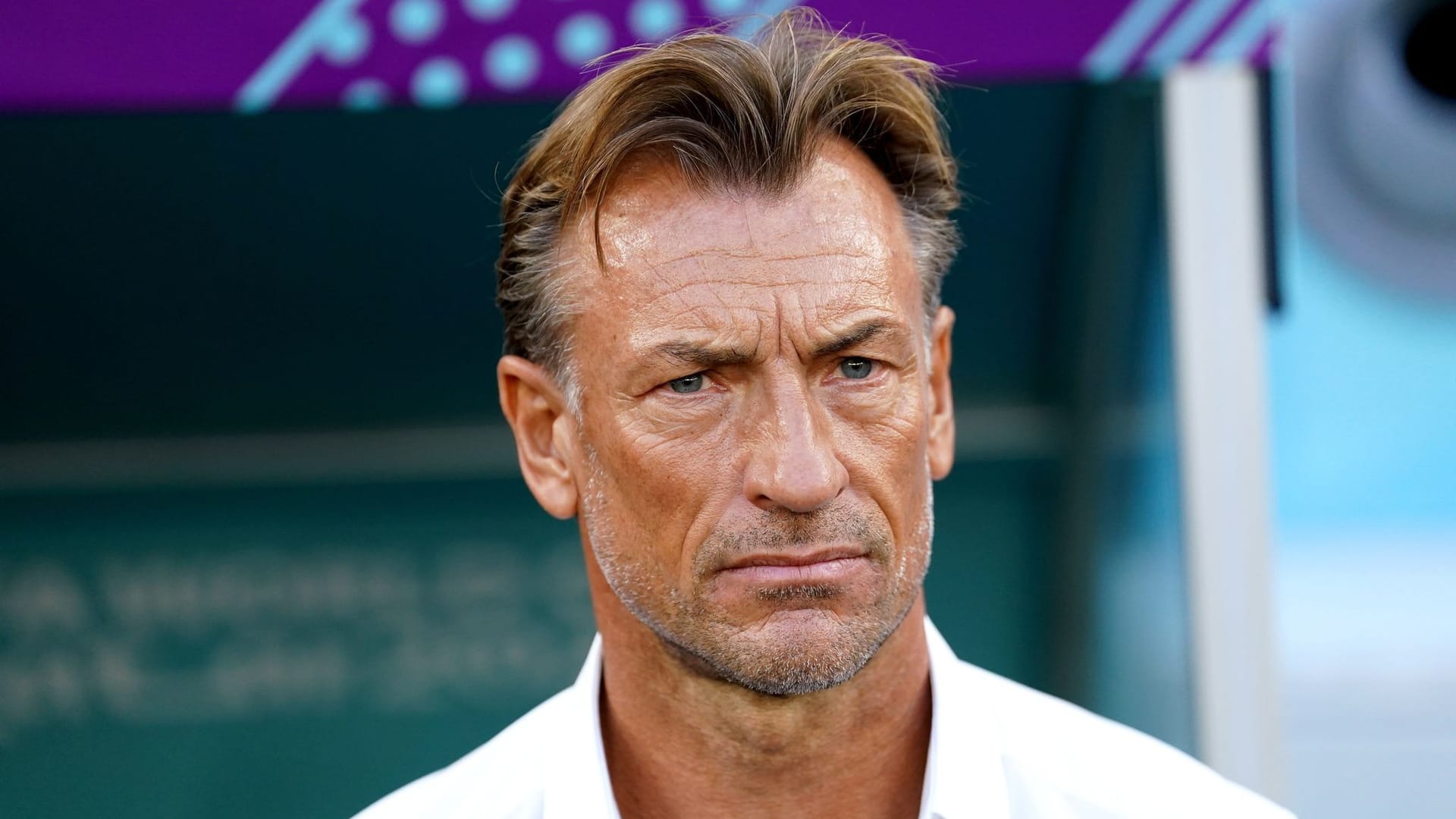 Hervé Renard