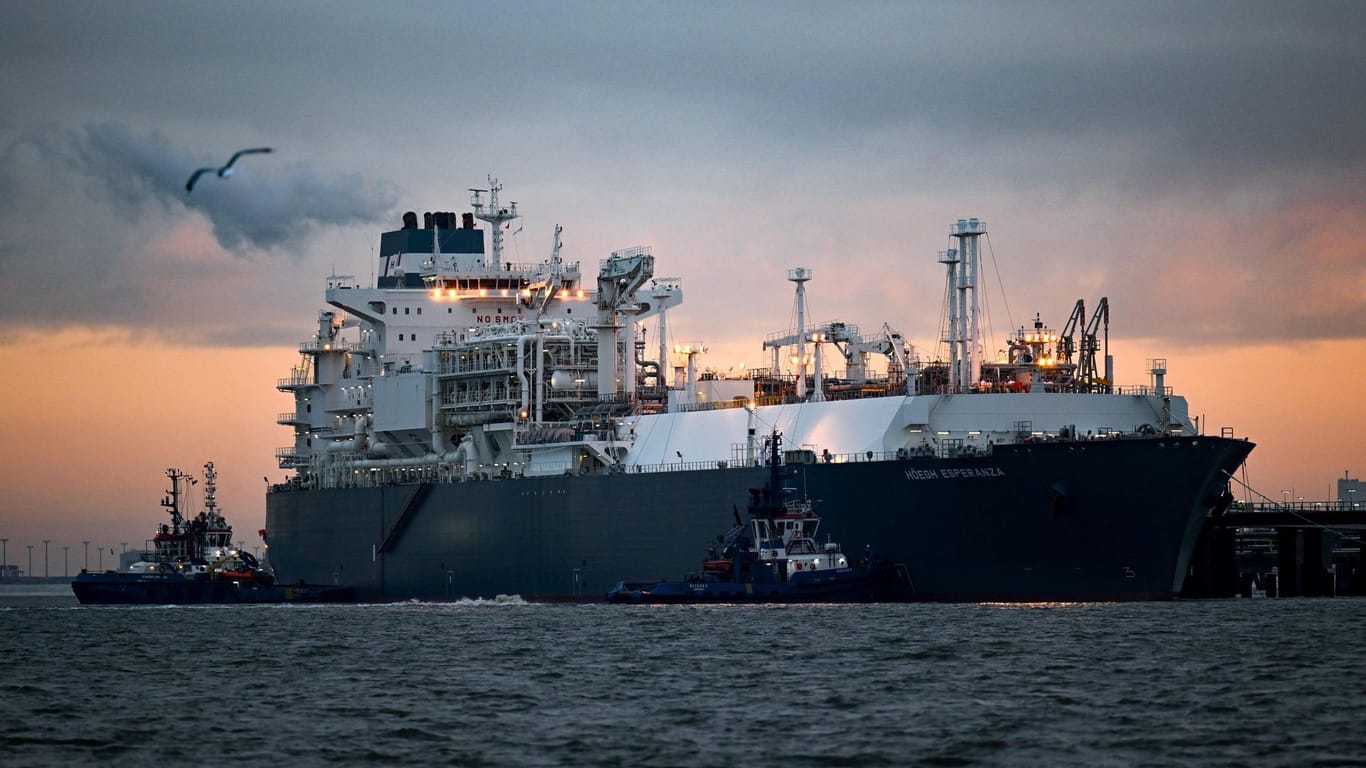 Das Spezialschiff "Höegh Esperanza" wird in Wilhelmshaven angelegt (Archivfoto): Umweltschützer kritisieren seit langem den Einsatz von Chemikalien.
