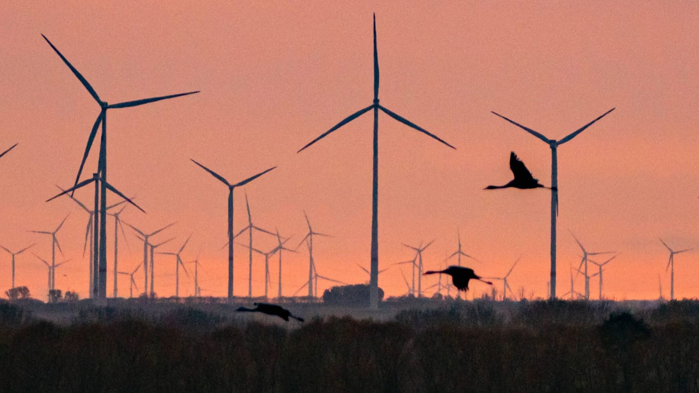 Kraniche vor einer Skyline aus Windrädern: Spätestens ab 2025 müssen die Treibhausgasemissionen weltweit sinken, um eine Klimakatastrophe zu verhindern. Doch schon jetzt sind die Risiken groß.