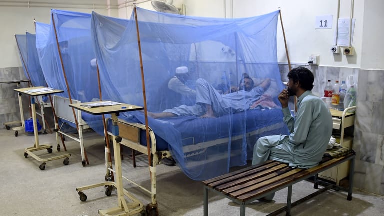Krankenhaus in Islamabad (Symbolbild): Die pakistanischen Behörden haben Organhändler festgenommen.