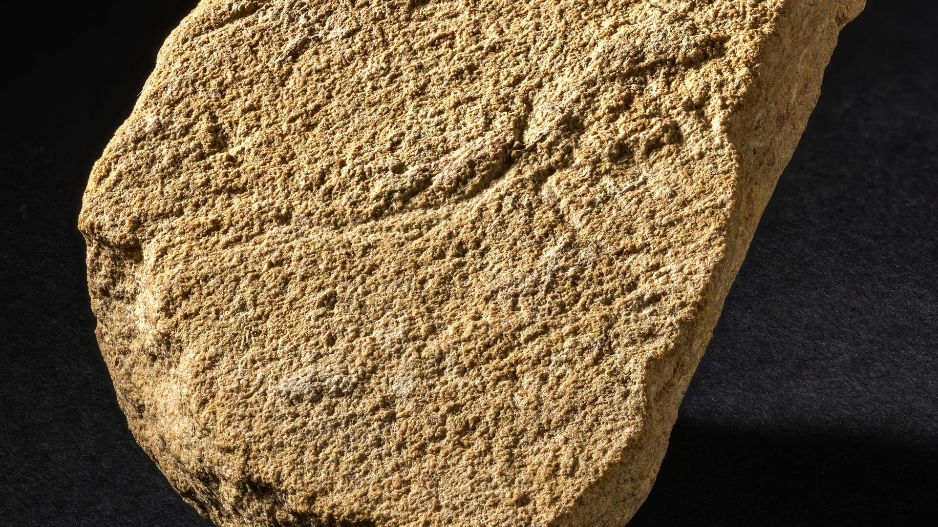 Auf der Steintafel ist vage ein Pferdekopf zu erkennen.