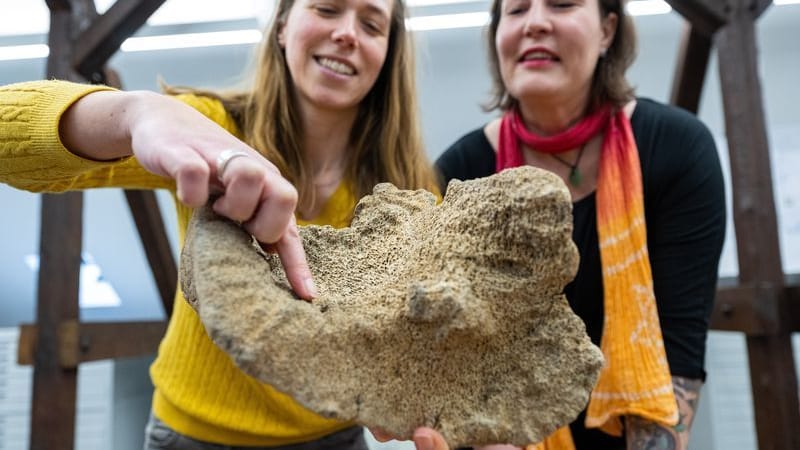 Archäologin Julia Ricken (l) und die Finderin Simone Grundmann: In der Hand hält die Archäologin den Knochen eines 15.000 Jahre alten Wollhaar-Mammuts.