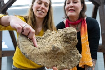 Archäologin Julia Ricken (l) und die Finderin Simone Grundmann: In der Hand hält die Archäologin den Knochen eines 15.000 Jahre alten Wollhaar-Mammuts.