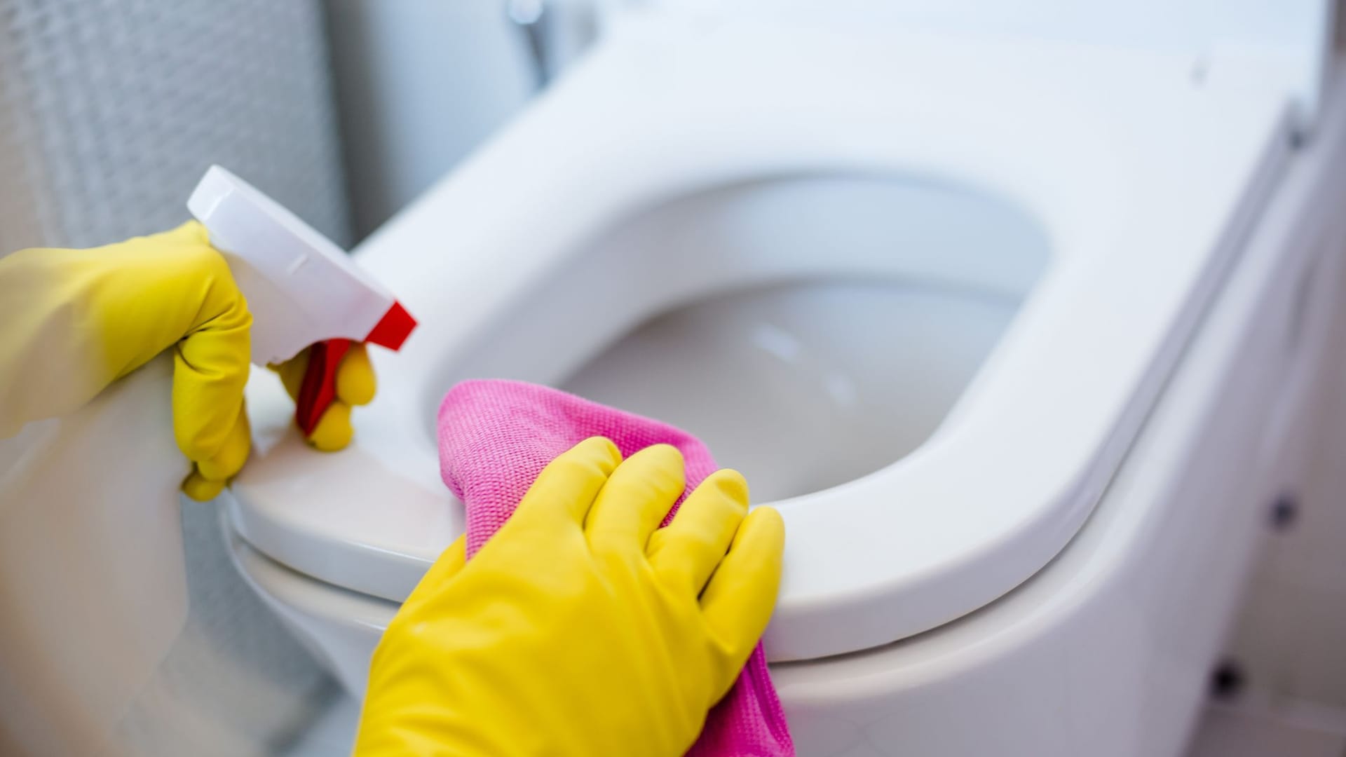 Toilette putzen: Einige Hausmittel reichen, um Urinstein zu entfernen.