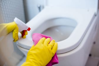 Toilette putzen: Einige Hausmittel reichen, um Urinstein zu entfernen.