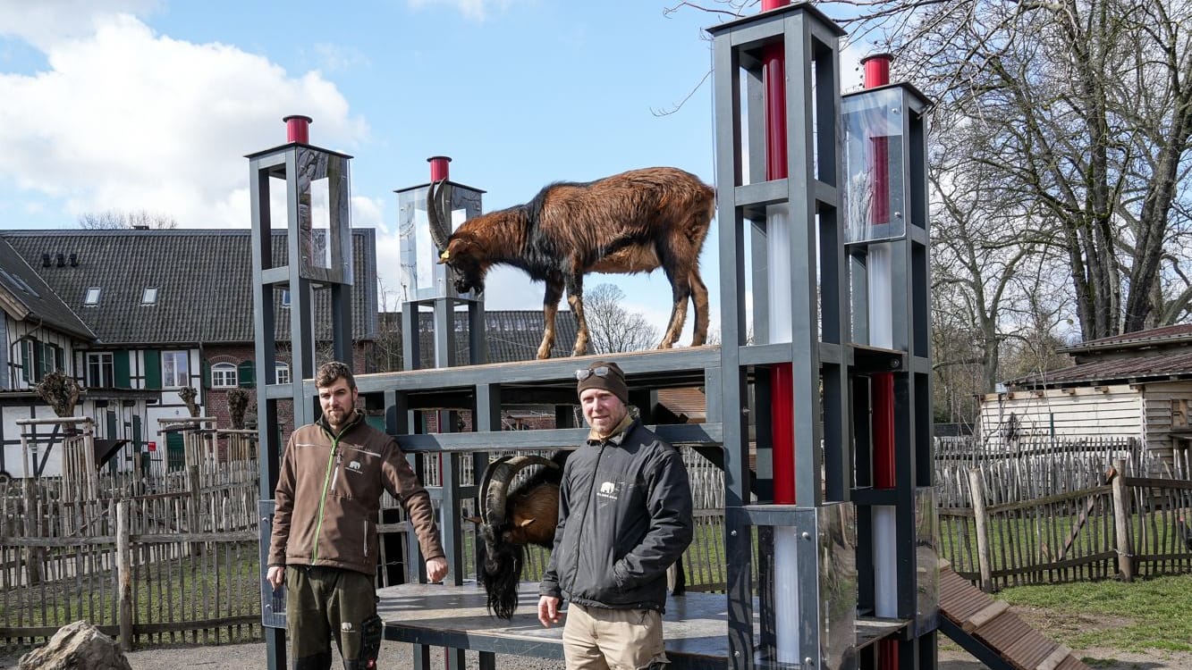 Tierpfleger Steffen Schröder und Zoo-Schreiner Carsten Reichart vor dem Nachbau: Hennes steht auf der unteren Etage.