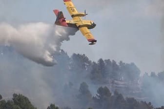 Löschflugzeug in Spanien (Archivbild): Im Osten Spaniens hat es den ersten großen Waldbrand des Jahres gegeben.