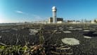 Das Tempelhofer Feld: Soll hier gebaut werden?