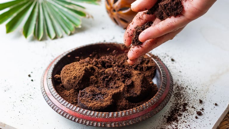 Rasen mit Kaffeesatz düngen: Der im Kaffee enthaltene Stickstoff regt das Wachstum Ihres Rasens an.