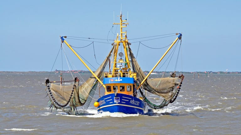 Ein Fischkutter vor Neuharlingersiel in der Nordsee (Archivfoto): Das Fangverbot für Aale beginnt Mitte September dieses Jahres.