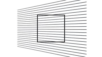 Ilusión óptica: ¿Qué forma ves?