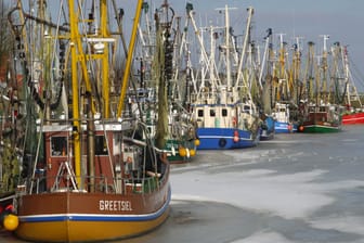 Fischerboote liegen am Hafen in Greetsiel (Archivfoto): Sollten die Pläne der EU tatsächlich wie geplant umgesetzt werden, fürchten Fischer an der Nordsee um ihre Existenz.