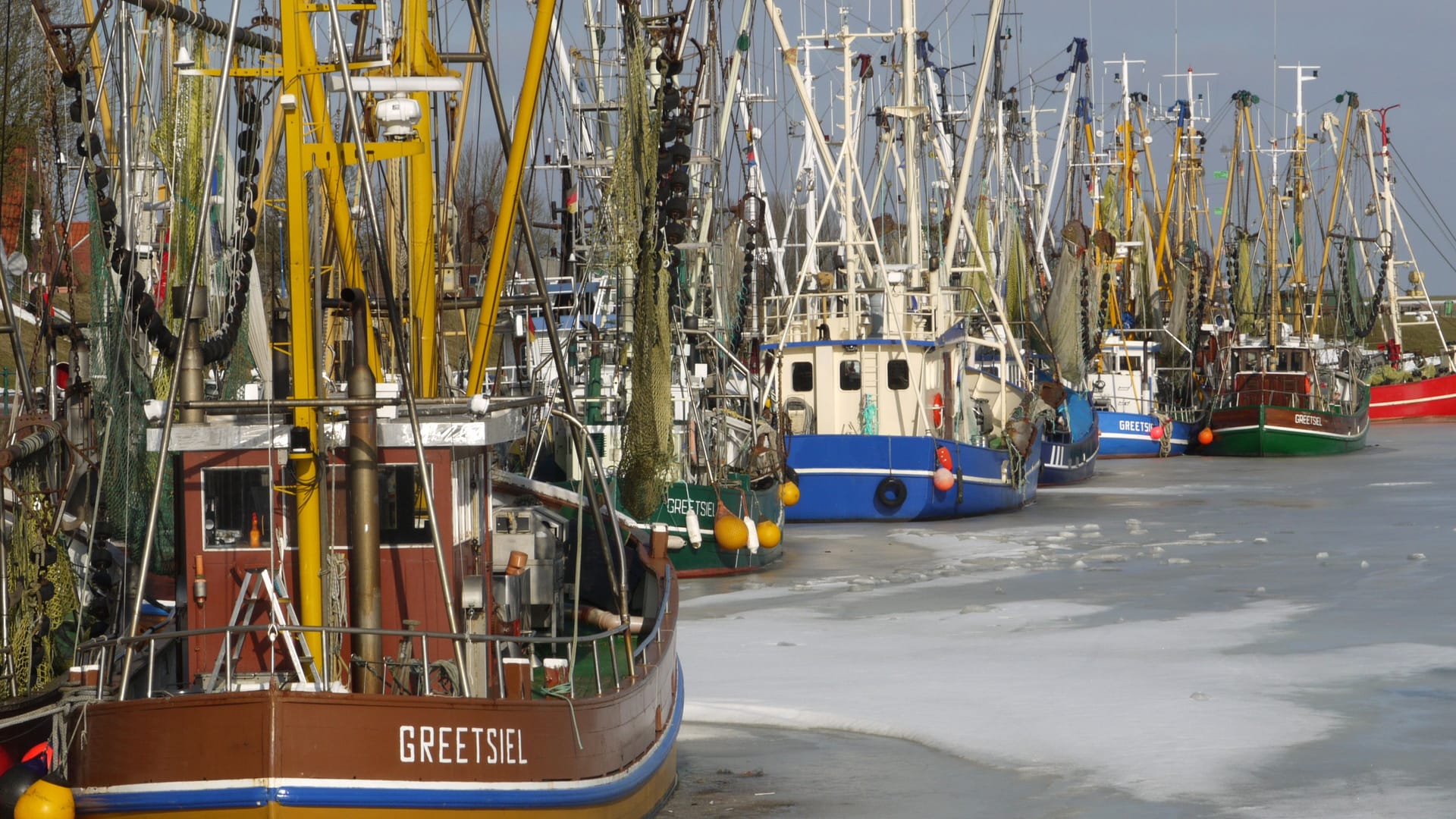 Fischerboote liegen am Hafen in Greetsiel (Archivfoto): Sollten die Pläne der EU tatsächlich wie geplant umgesetzt werden, fürchten Fischer an der Nordsee um ihre Existenz.