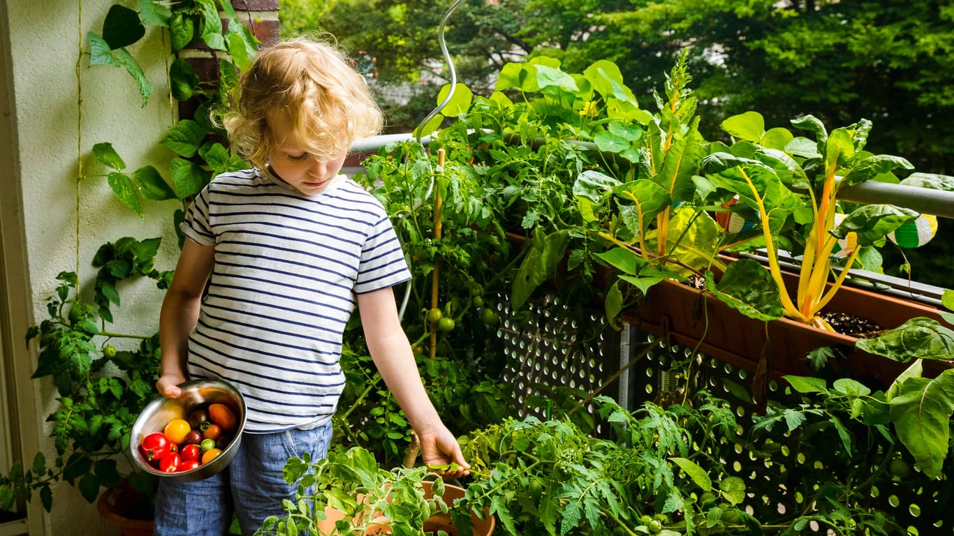 Gemüse: Auf dem Balkon ist genug Platz, um auch Paprika und Tomaten anzubauen.