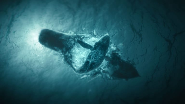 Szenen wie diese müssen vor allem von der VFX-Abteilung verfeinert werden: Hier zerbricht ein Ausflugsschiff nach einer Walattacke in zwei Teile.