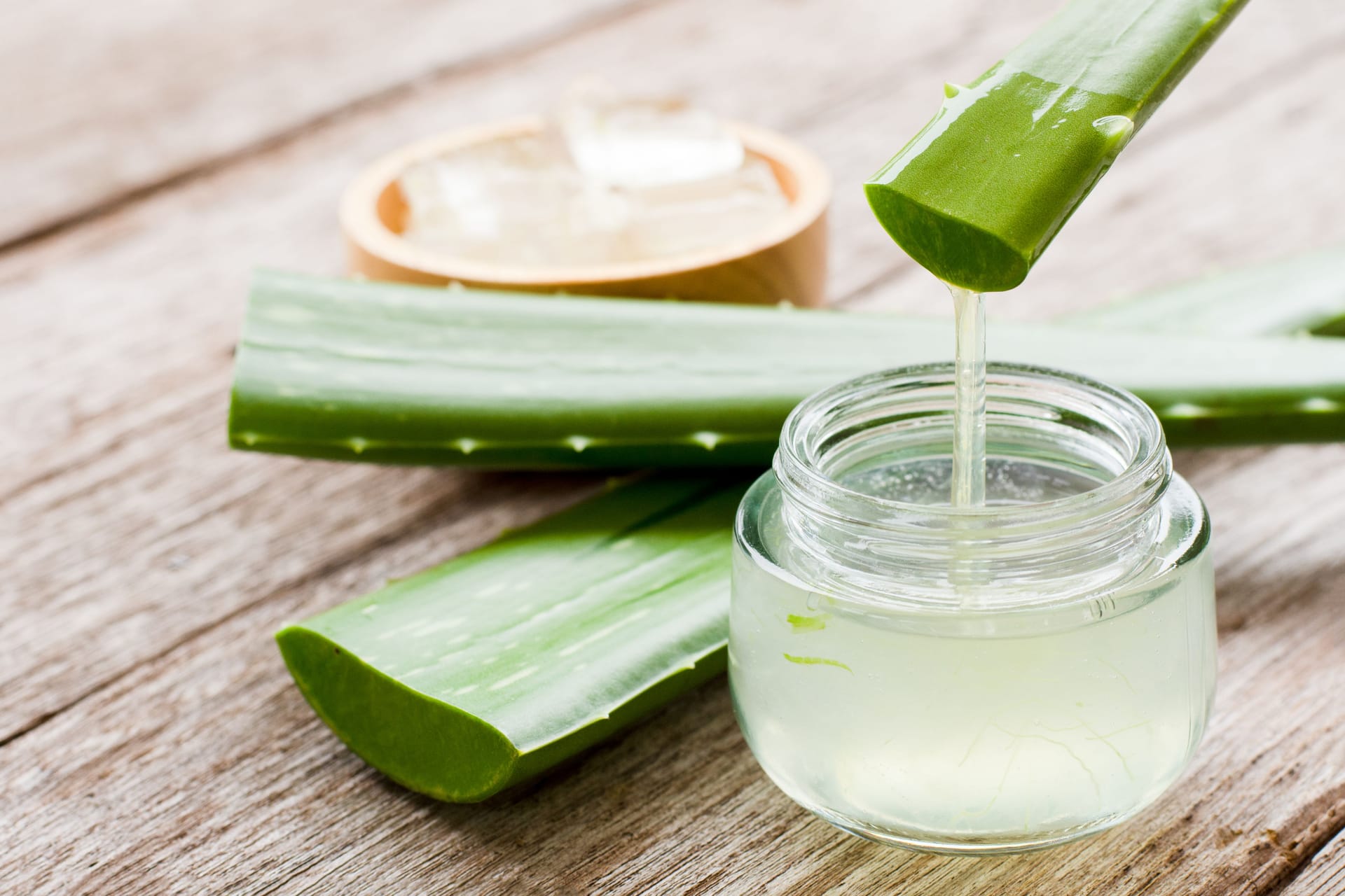 Aufgeschnittene Aloe-vera-Blätter, aus denen Gel gewonnen wird.