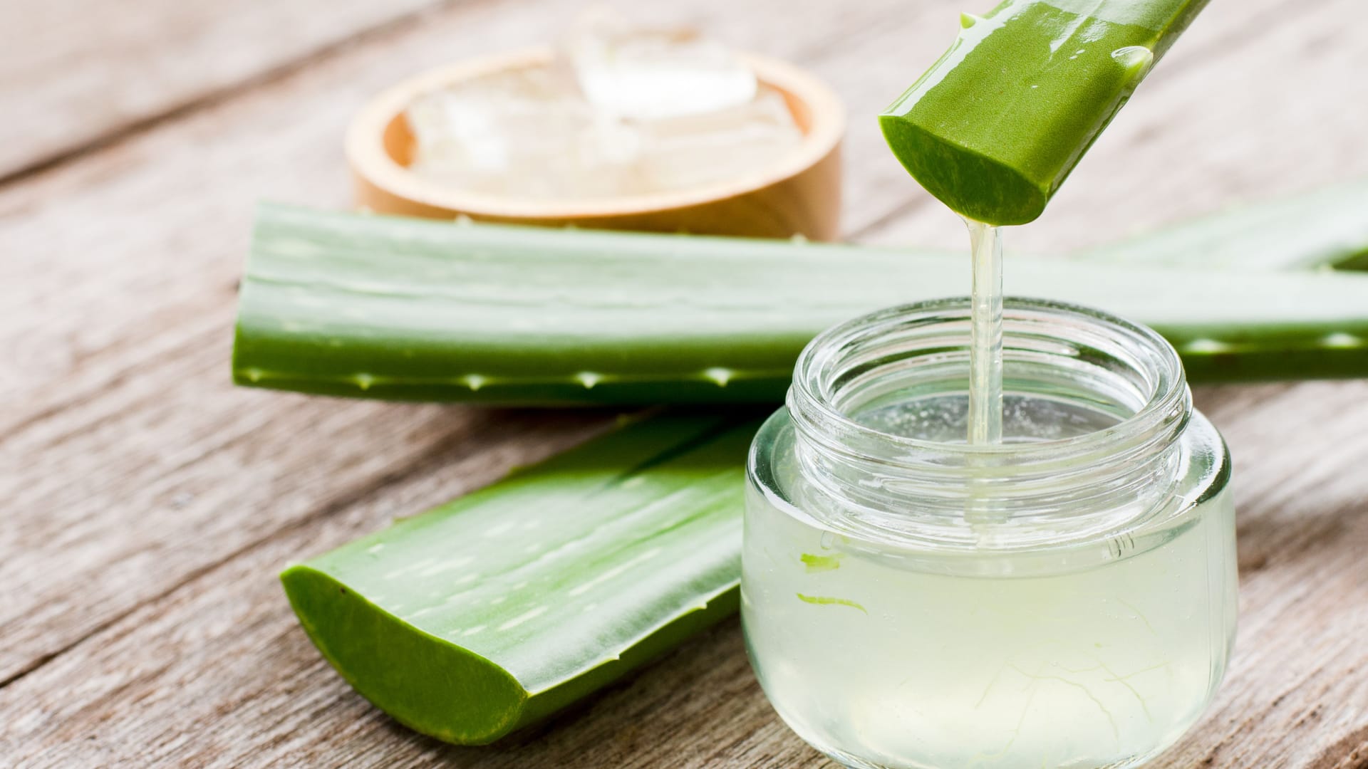 Aufgeschnittene Aloe-vera-Blätter, aus denen Gel gewonnen wird.