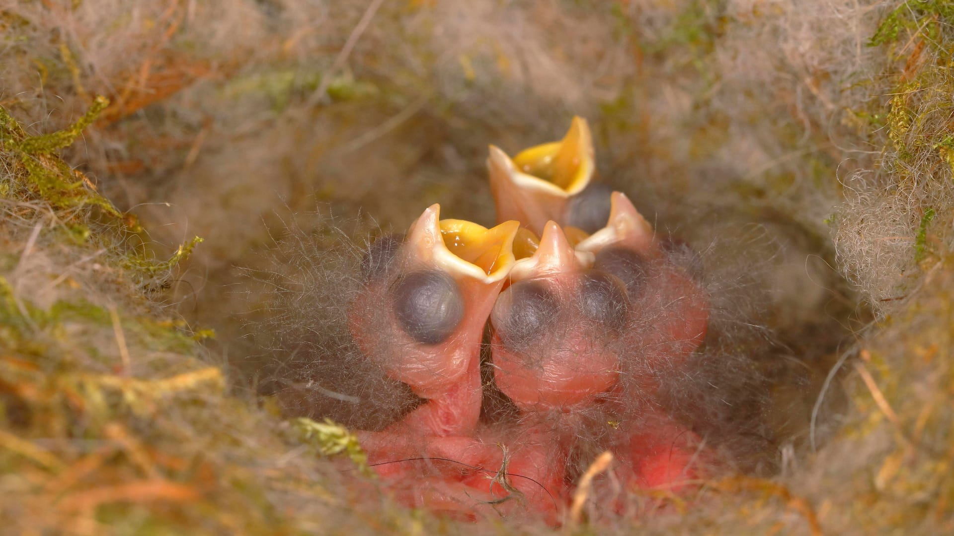 imago images 119833100