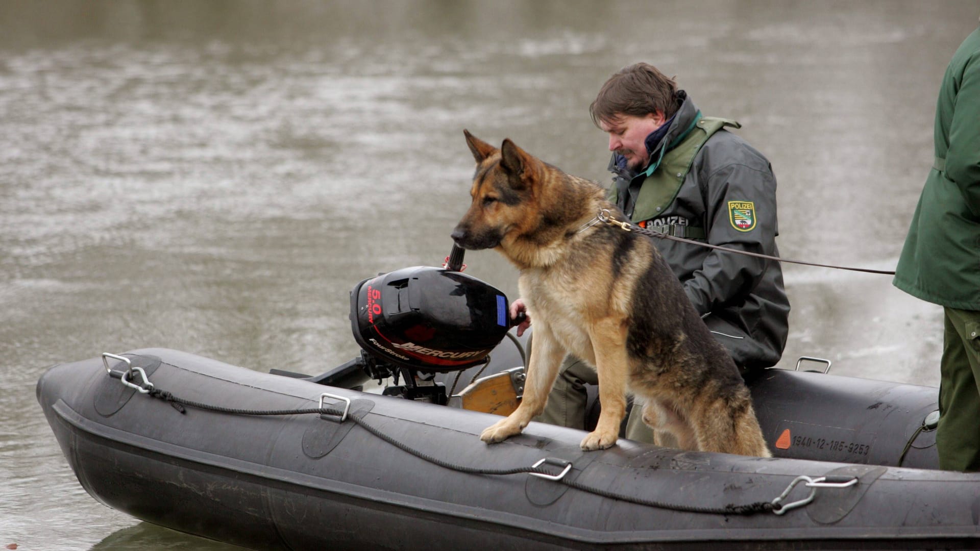 Ein Polizeiboot mit Hund (Symbolbild): Tagelang suchten Retter nach dem Vermissten. Ein Polizeiboot mit Hund (Symbolbild): Tagelang suchten Retter nach dem Vermissten.