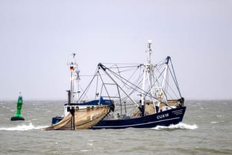 Ein Kutter fischt nach Krabben (Archvifoto): Dutzende Fischer von der niedersächsischen Nordseeküste wollen mit ihren Kuttern bei der Agrarministerkonferenz in Büsum demonstrieren.