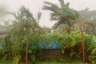 Bäume wehen im Wirbelsturm, der über die Insel Vanuatu fegt.