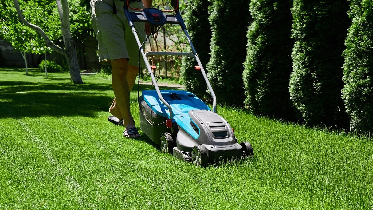 Rasen mähen im Sommer: Wie oft Sie Ihren Rasen mähen hängt von verschiedenen Faktoren ab, wie dem Wetter und der Rasenart.