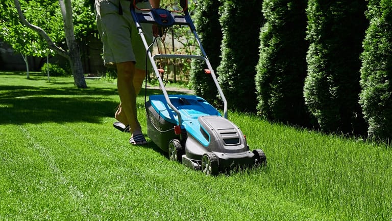 Wie oft und wann Sie Ihren Rasen im Sommer mähen sollten